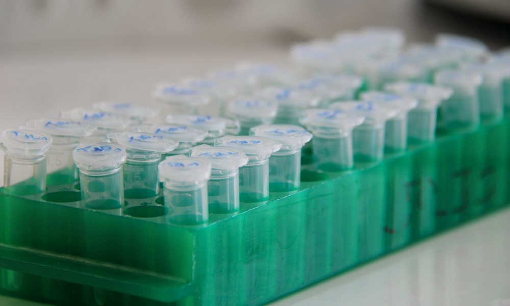 Tamoxifen: medizinische Indikationen und Anwendung